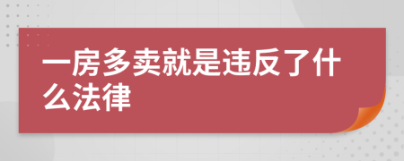 一房多卖就是违反了什么法律