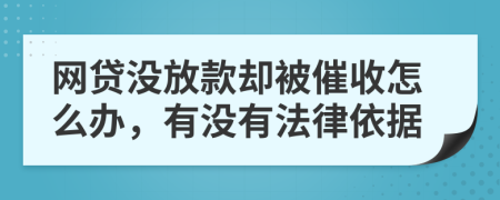 网贷没放款却被催收怎么办，有没有法律依据