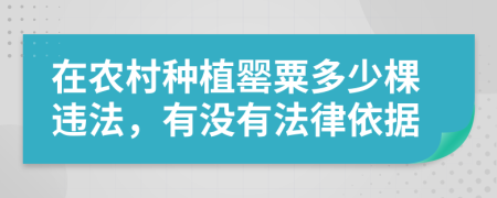 在农村种植罂粟多少棵违法，有没有法律依据