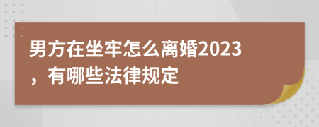 男方在坐牢怎么离婚2023，有哪些法律规定