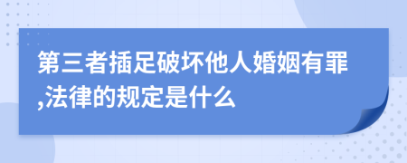 第三者插足破坏他人婚姻有罪,法律的规定是什么