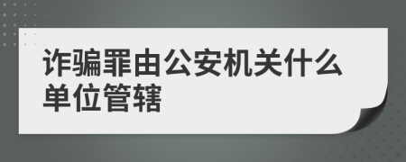 诈骗罪由公安机关什么单位管辖