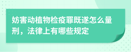 妨害动植物检疫罪既遂怎么量刑，法律上有哪些规定