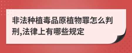 非法种植毒品原植物罪怎么判刑,法律上有哪些规定