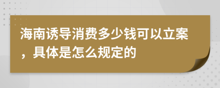 海南诱导消费多少钱可以立案，具体是怎么规定的