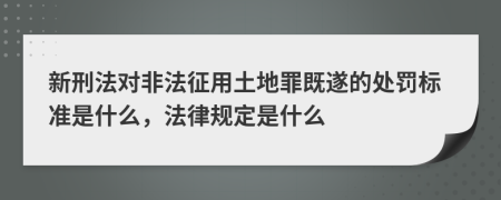 新刑法对非法征用土地罪既遂的处罚标准是什么，法律规定是什么