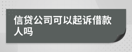 信贷公司可以起诉借款人吗