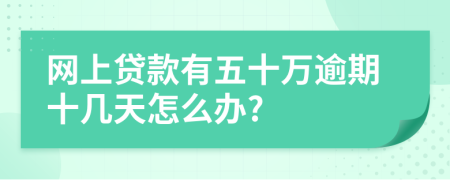 网上贷款有五十万逾期十几天怎么办?