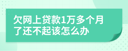 欠网上贷款1万多个月了还不起该怎么办