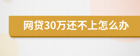 网贷30万还不上怎么办