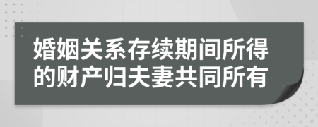 婚姻关系存续期间所得的财产归夫妻共同所有