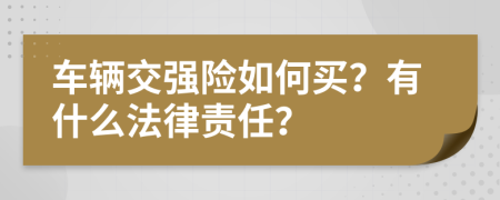 车辆交强险如何买？有什么法律责任？