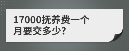 17000抚养费一个月要交多少?