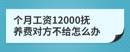 个月工资12000抚养费对方不给怎么办