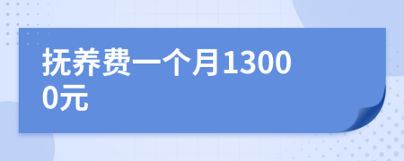 抚养费一个月13000元