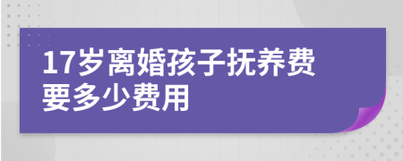 17岁离婚孩子抚养费要多少费用
