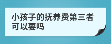 小孩子的抚养费第三者可以要吗