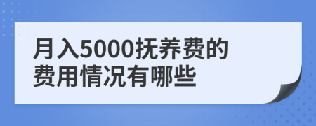 月入5000抚养费的费用情况有哪些