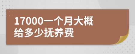 17000一个月大概给多少抚养费