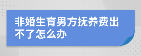 非婚生育男方抚养费出不了怎么办
