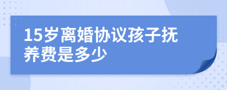 15岁离婚协议孩子抚养费是多少