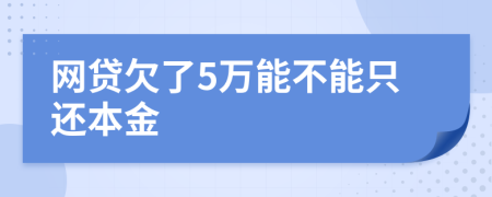 网贷欠了5万能不能只还本金