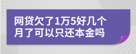 网贷欠了1万5好几个月了可以只还本金吗
