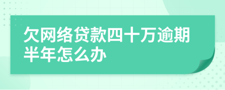 欠网络贷款四十万逾期半年怎么办