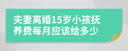 夫妻离婚15岁小孩抚养费每月应该给多少