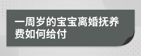 一周岁的宝宝离婚抚养费如何给付