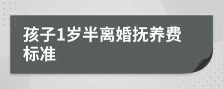 孩子1岁半离婚抚养费标准