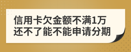 信用卡欠金额不满1万还不了能不能申请分期
