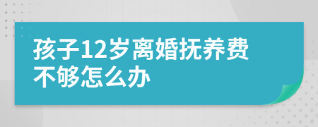 孩子12岁离婚抚养费不够怎么办