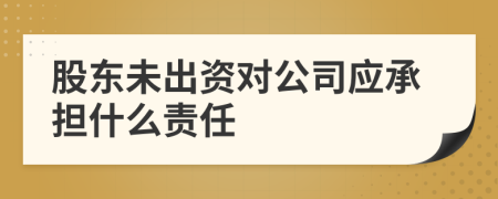 股东未出资对公司应承担什么责任