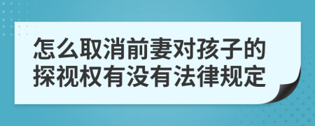 怎么取消前妻对孩子的探视权有没有法律规定