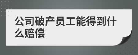 公司破产员工能得到什么赔偿