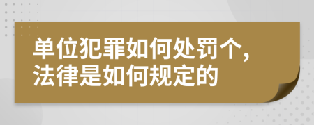 单位犯罪如何处罚个,法律是如何规定的