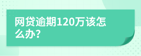 网贷逾期120万该怎么办？