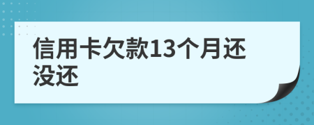 信用卡欠款13个月还没还