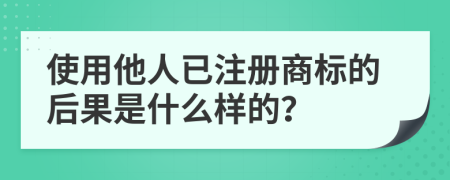 使用他人已注册商标的后果是什么样的？