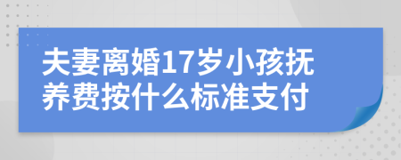 夫妻离婚17岁小孩抚养费按什么标准支付