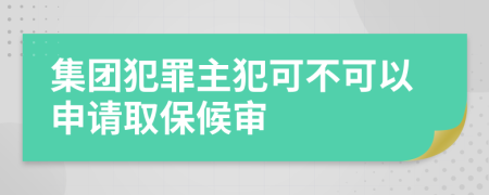 集团犯罪主犯可不可以申请取保候审