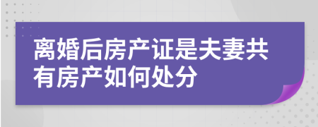 离婚后房产证是夫妻共有房产如何处分