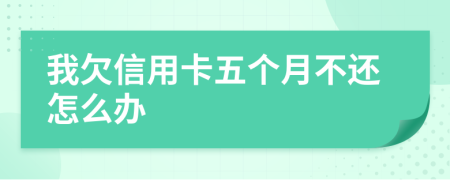 我欠信用卡五个月不还怎么办