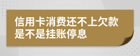 信用卡消费还不上欠款是不是挂账停息