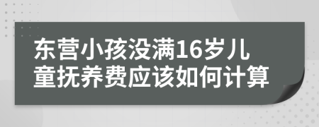 东营小孩没满16岁儿童抚养费应该如何计算