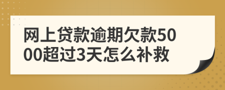 网上贷款逾期欠款5000超过3天怎么补救