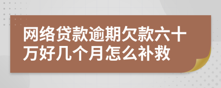 网络贷款逾期欠款六十万好几个月怎么补救