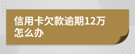 信用卡欠款逾期12万怎么办