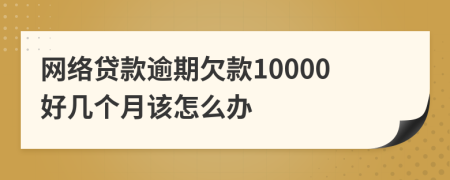 网络贷款逾期欠款10000好几个月该怎么办